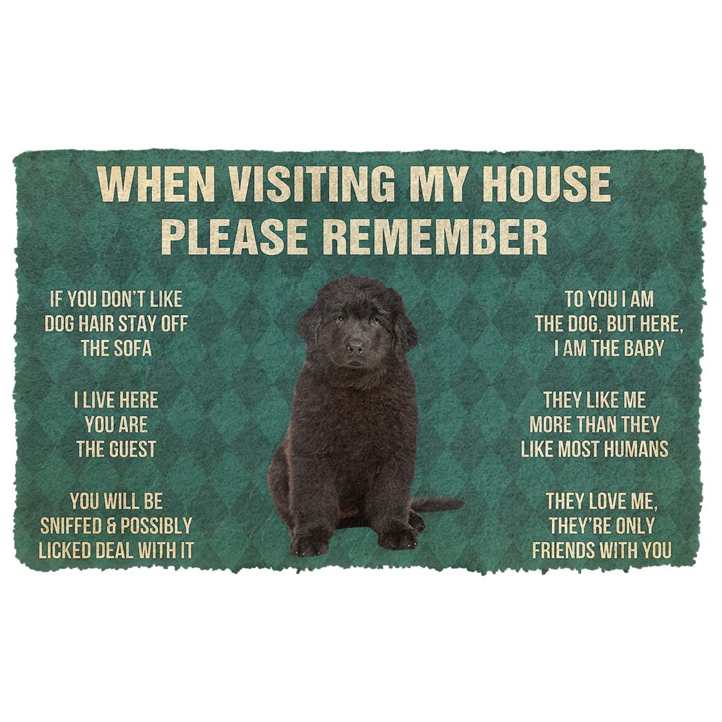 Bugybox 3D Please Remember Newfoundland Puppy Dogs House Rules Doormat