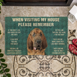 Bugybox 3D Please Remember Bloodhound Dogs House Rules Doormat