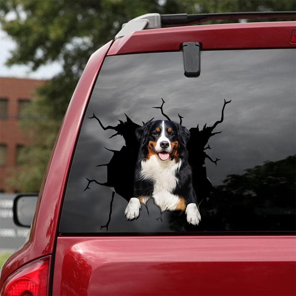 Bernese Mountain Crack Car Sticker, Toilet Sticker, Fridge Sticker 3