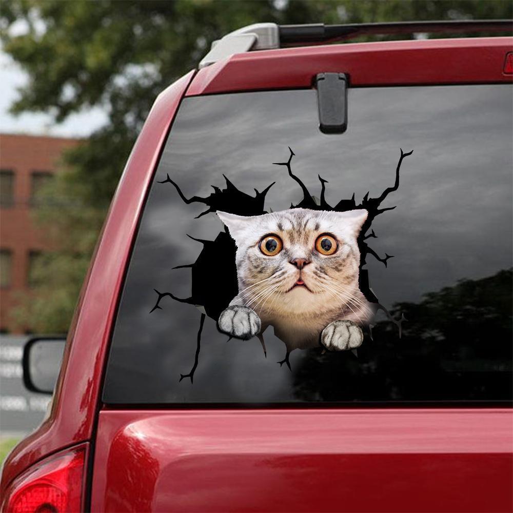 THE AMERICAN SHORTHAIR CRACK CAR STICKER CATS LOVER