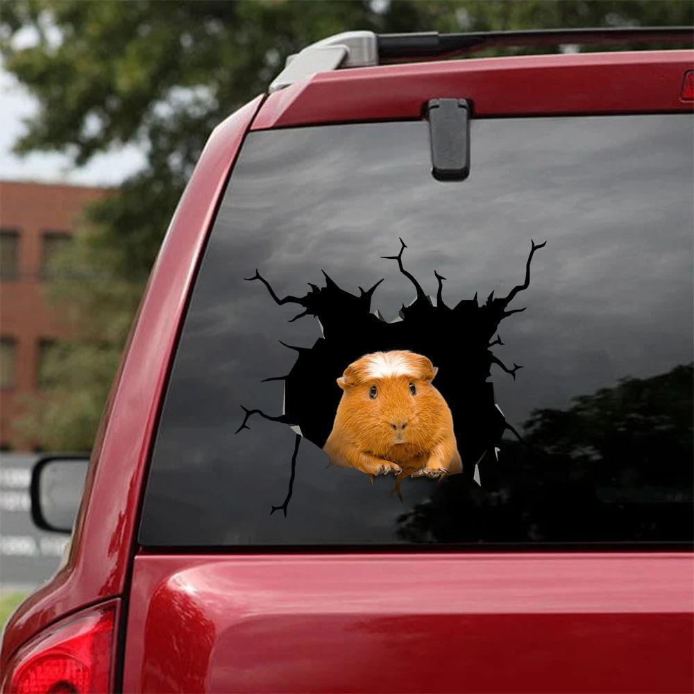 Guinea Pig Crack Car Sticker, Toilet Sticker, Fridge Sticker 6