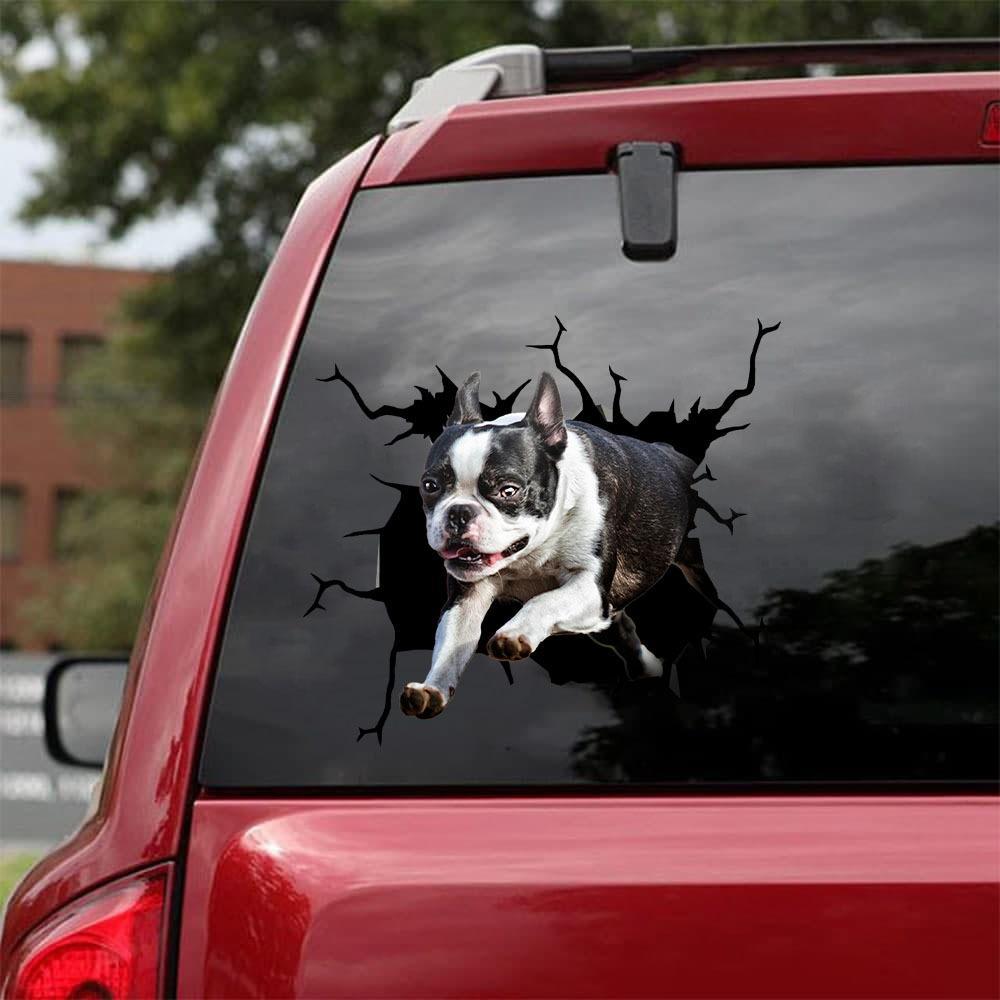 BOSTON TERRIER CRACK STICKER 15
