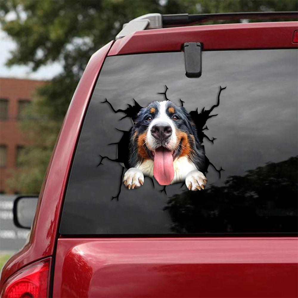 Bernese Mountain Crack Car Sticker, Toilet Sticker, Fridge Sticker 17