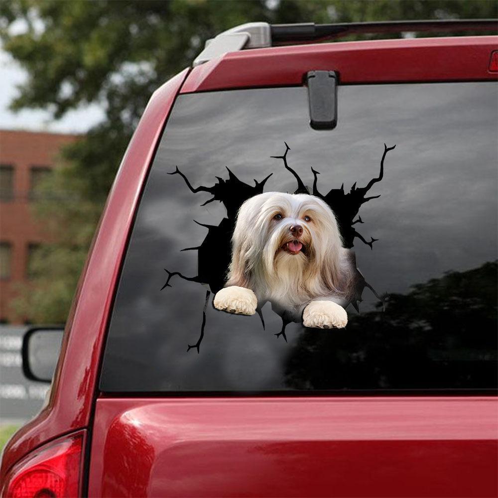 Havanese Crack Car Sticker, Toilet Sticker, Fridge Sticker 4