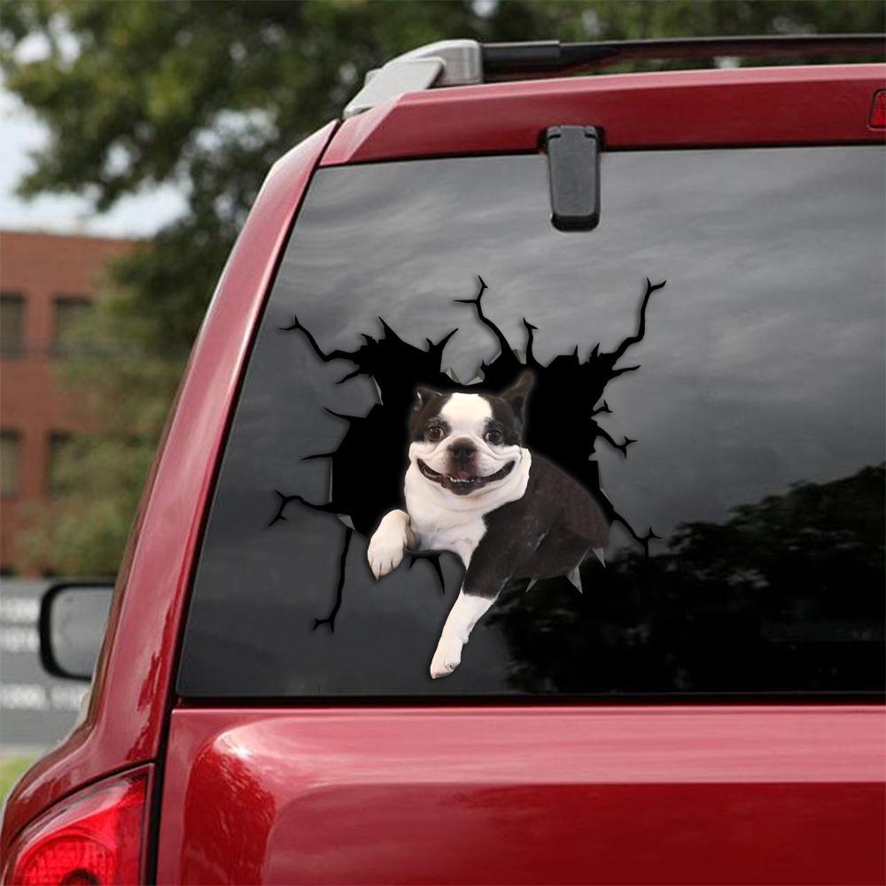 BOSTON TERRIER CRACK STICKER 1