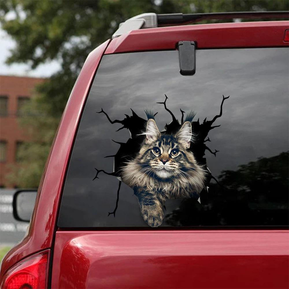 MAINE COON CRACK STICKER CATS LOVER