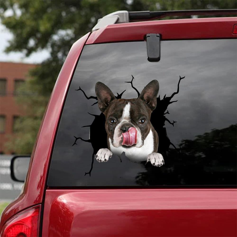 BOSTON TERRIER CRACK STICKER 8