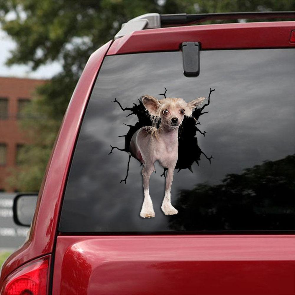 CHINESE CRESTED CRACK CAR STICKER 5
