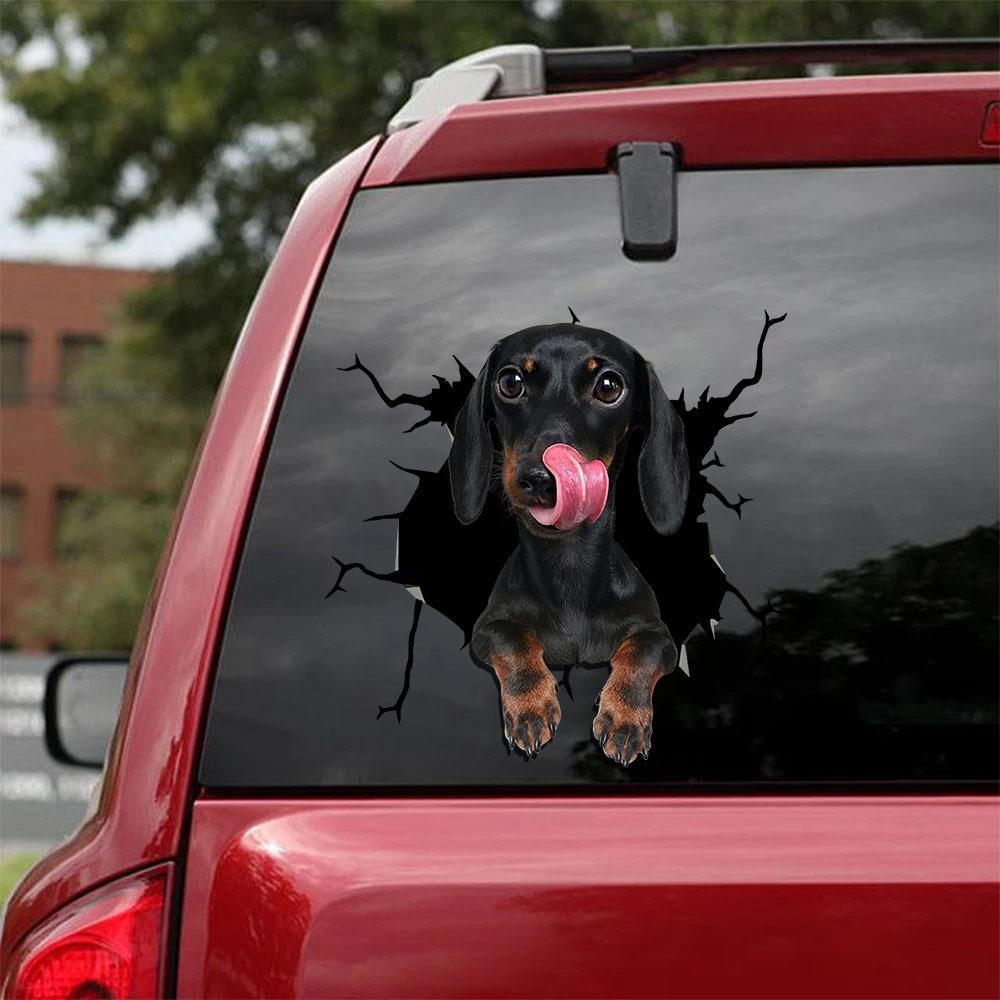 Dachshund Crack Car Sticker, Toilet Sticker, Fridge Sticker (17)