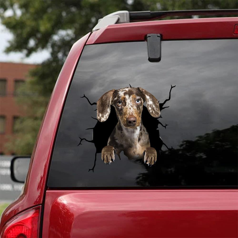 Dachshund Crack Car Sticker, Toilet Sticker, Fridge Sticker (37)