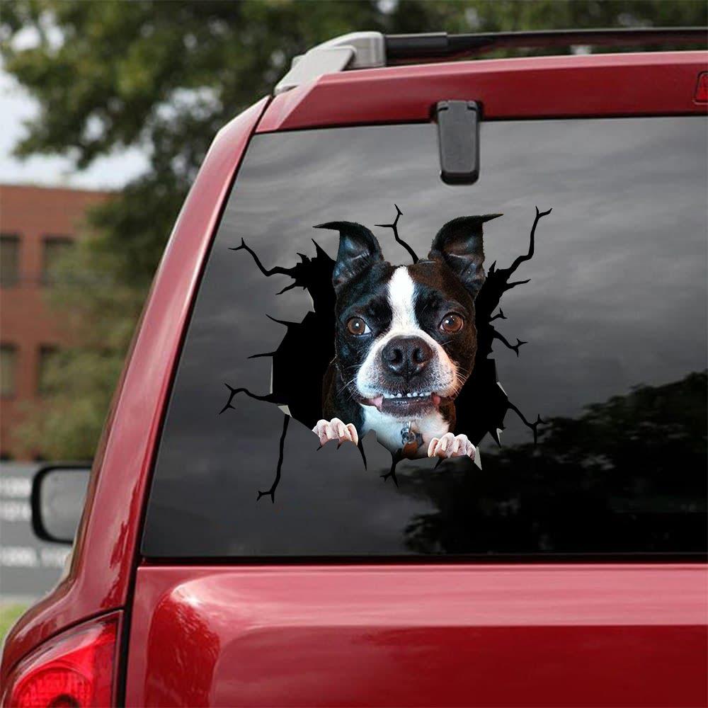 BOSTON TERRIER CRACK STICKER 19