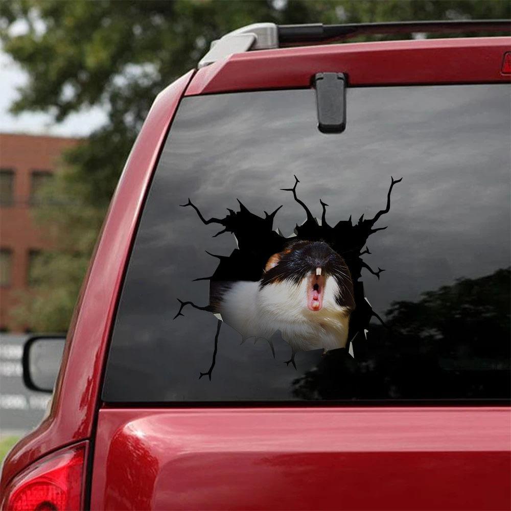 Guinea Pig Crack Car Sticker, Toilet Sticker, Fridge Sticker 4