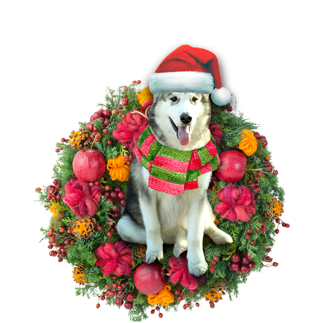 Alaskan Malamute Christmas Ornament