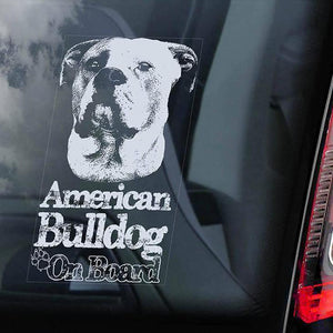 American Bulldog on Board-Car Window Sticker-Dog Sign Decal