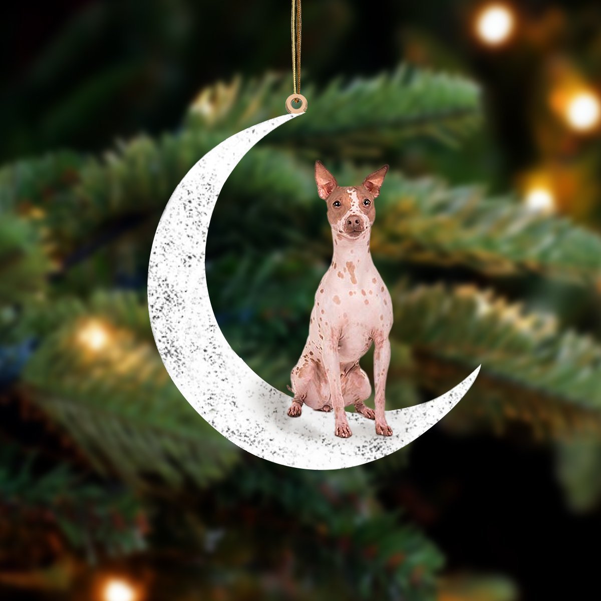 American Hairless Terrier-Sit On The Moon-Two Sided Ornament