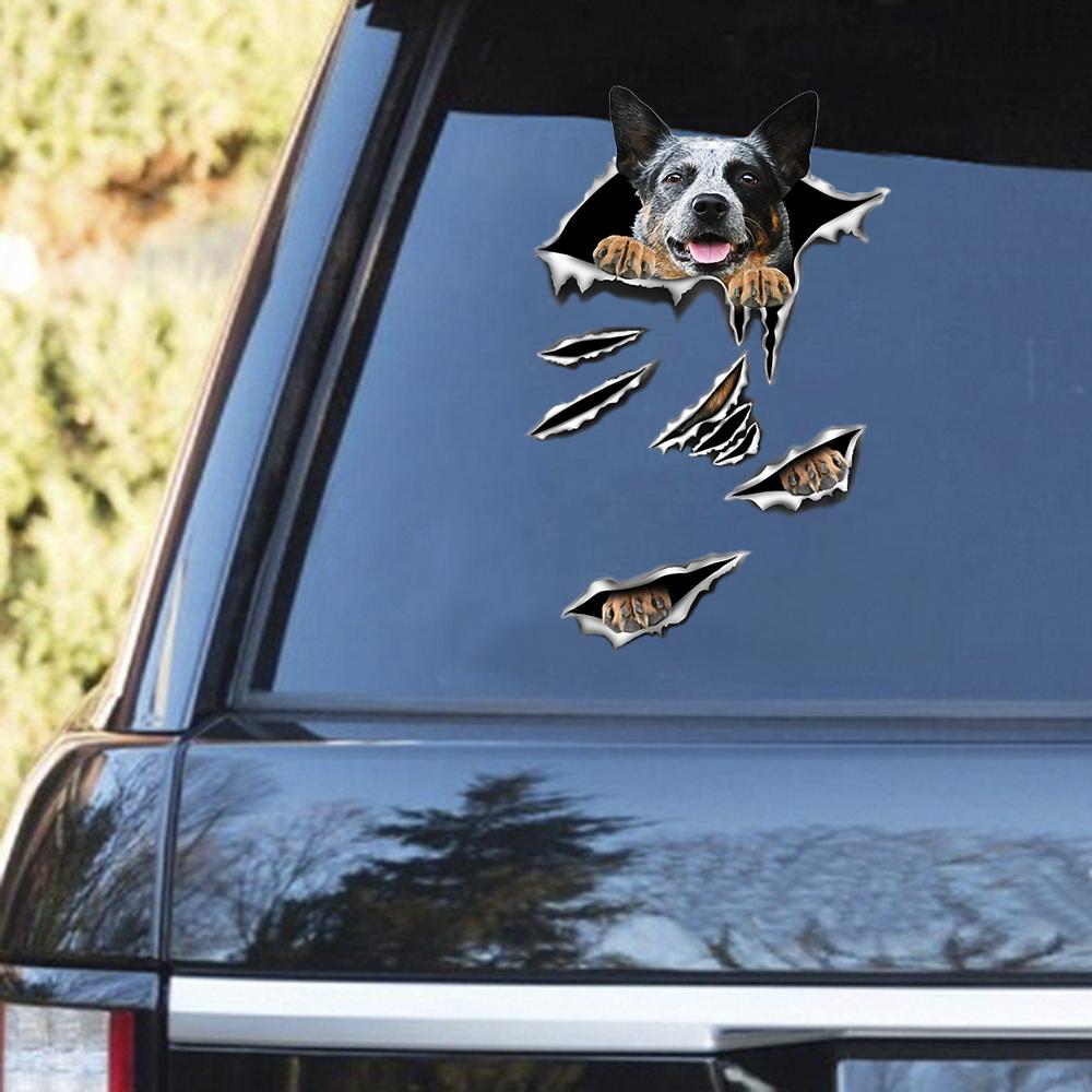 Australian Cattle Scratch Decal