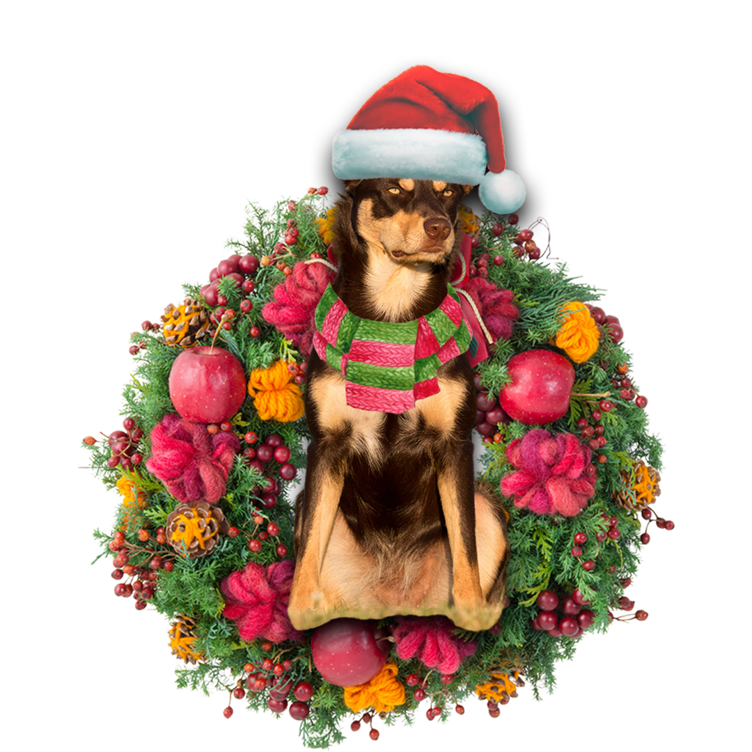 Australian Kelpie Christmas Ornament