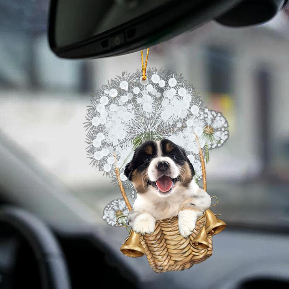 Australian Shepherd-Dandelion-Two Sided Ornament