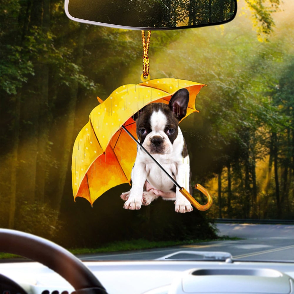 BRINDLE Boston Terrier-The Umbrella Two Sides Ornament