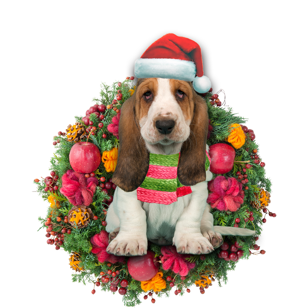 Basset Hound Christmas Ornament