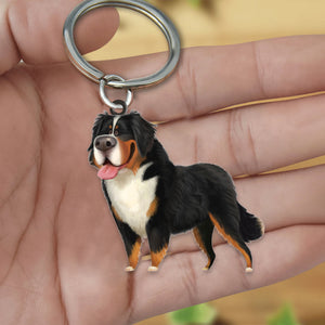 Bernese Mountain Dog-Look at me flat Acrylic Keychain