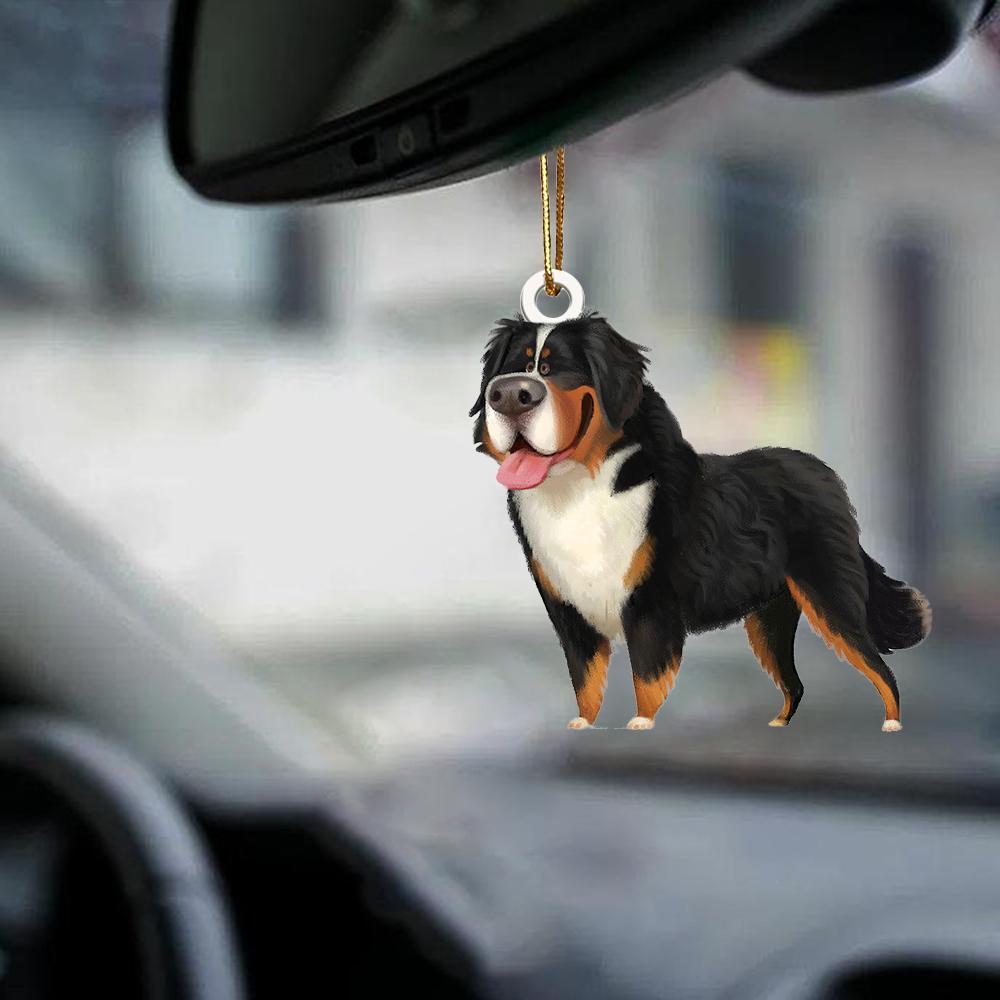 Bernese Mountain Dog-Look at me-two sided ornament