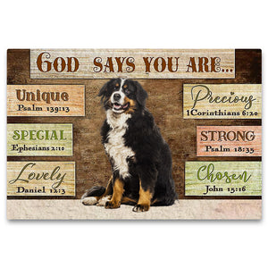 Bernese  Mountain  (2) God Says You Are Doormat