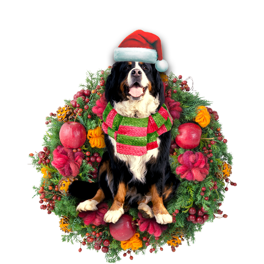 Bernese Mountain Christmas Ornament