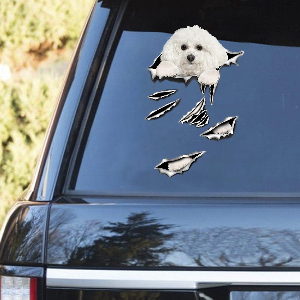 Bichon Frise Scratch Decal