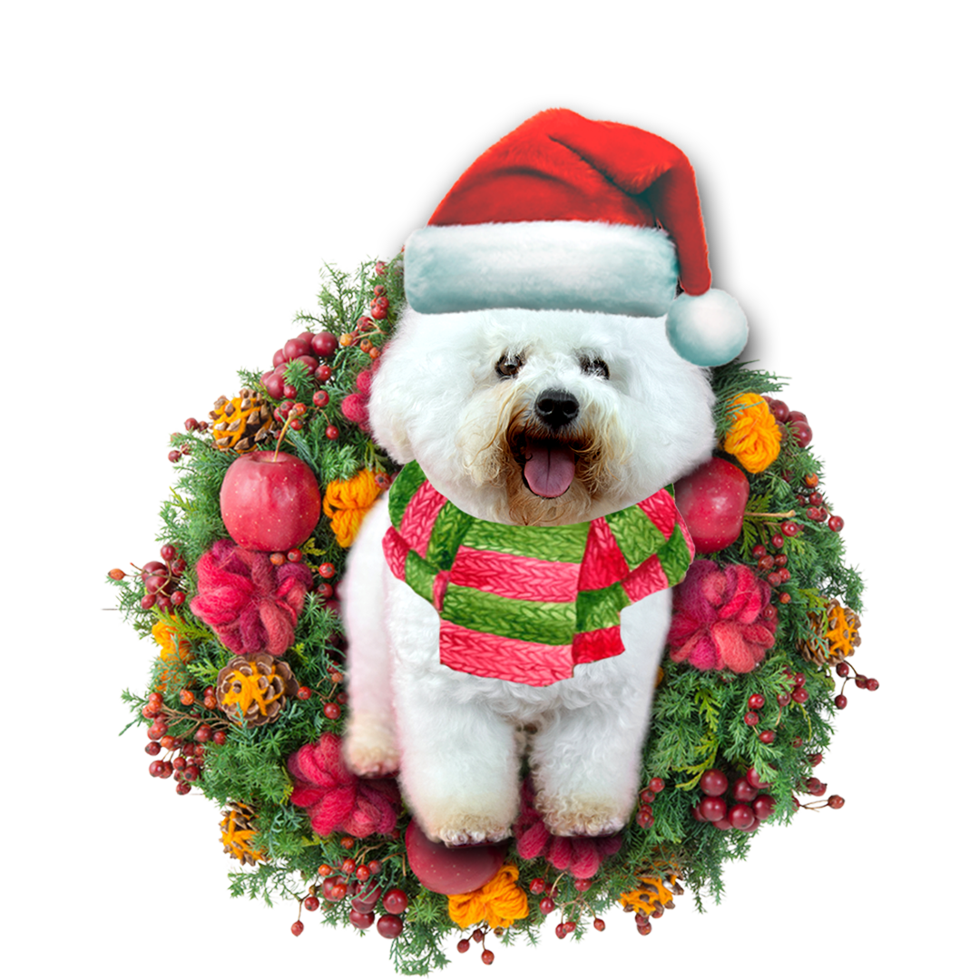 Bichon Frise Christmas Ornament