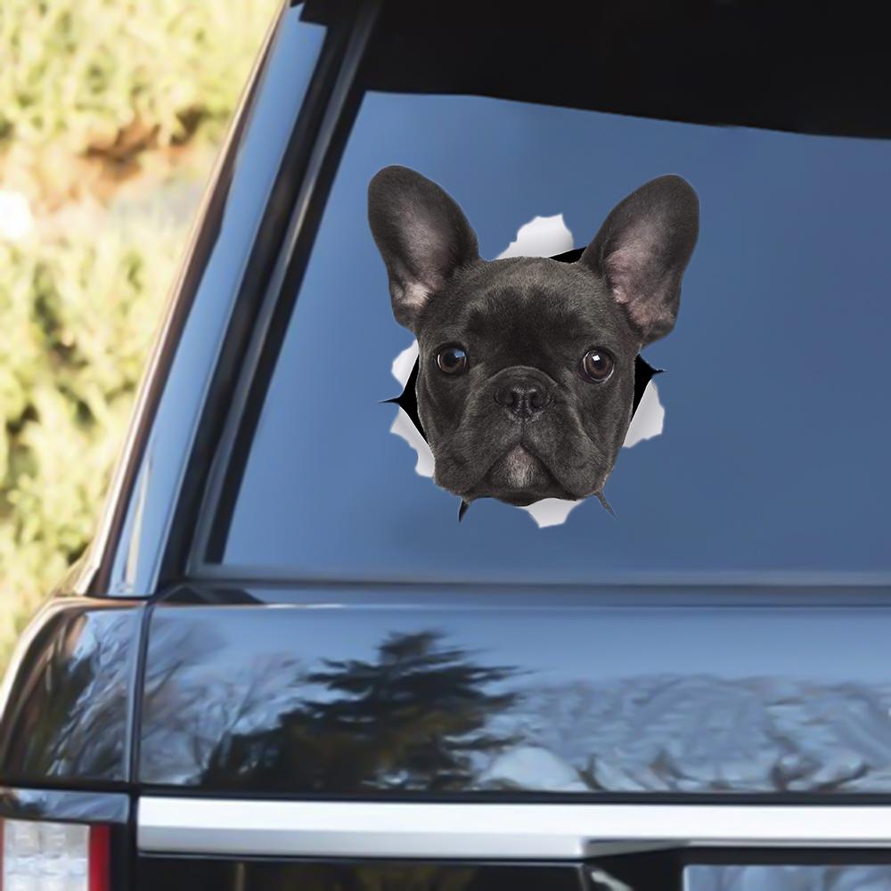 Black French Bulldog Out Of The Window Decal