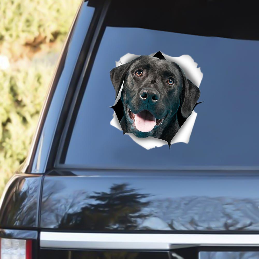 Black Labrador 2 Out Of The Window Decal