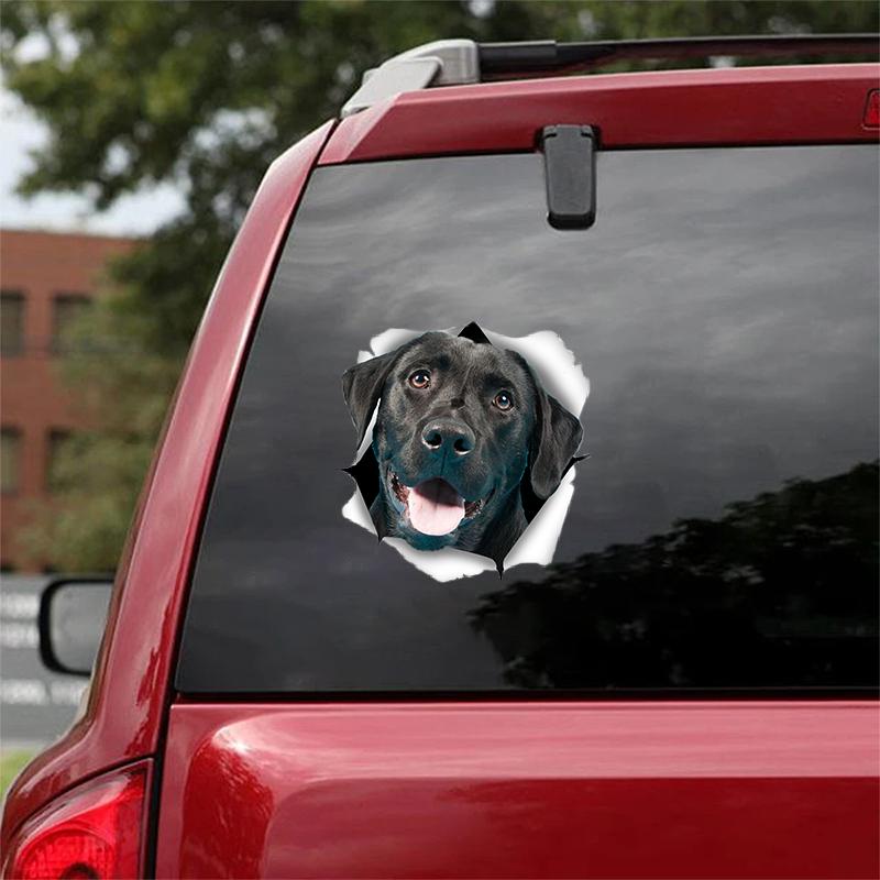 Cute Black Labrador Retriever CRACK CAR STICKER