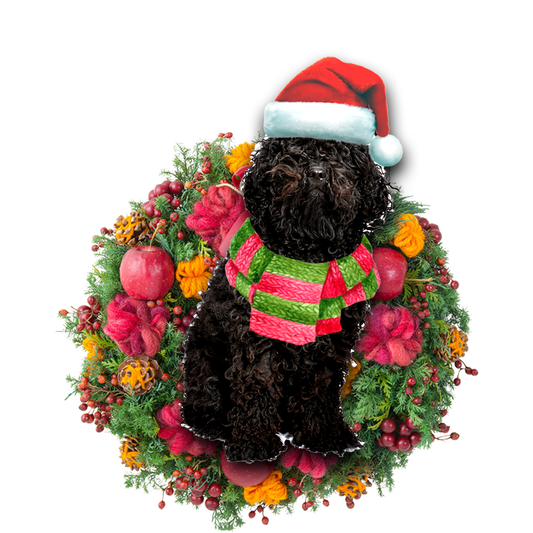 Black Poodle Christmas Ornament