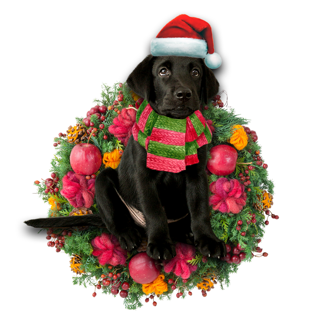 Black Labrador Retriever Christmas Ornament