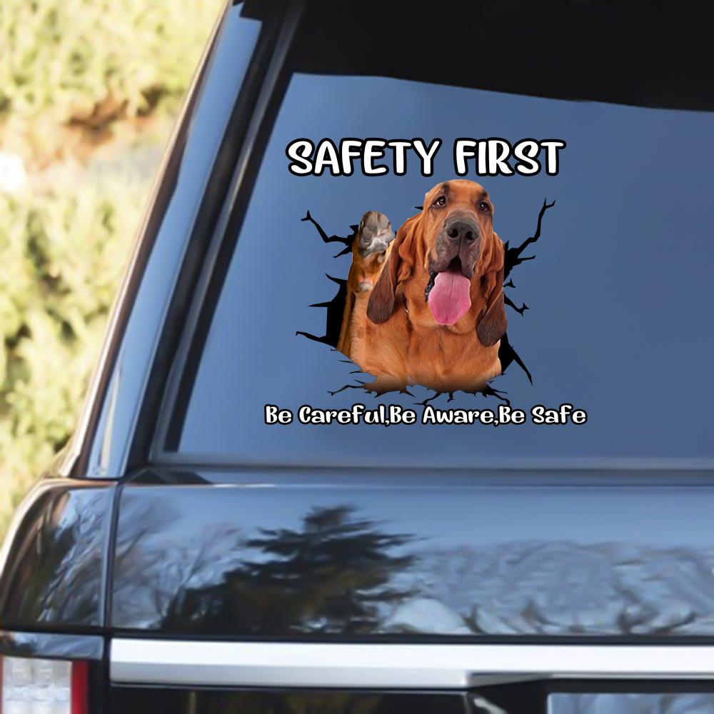 Bloodhound Safety First Decal