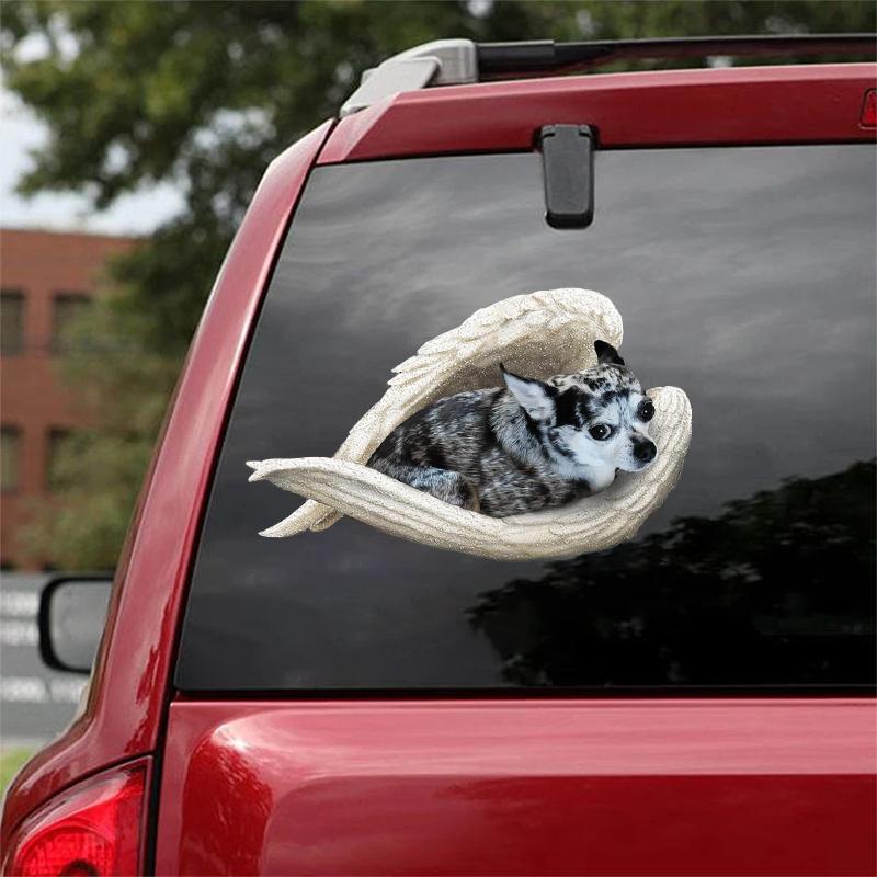 Blue merle chihuahua-sleeping angel CAR STICKER