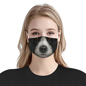 Border Collie Face EZ06 1504 Face Mask