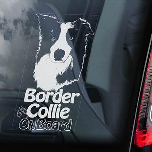 Border Collie1 on Board-Car Window Sticker-Dog Sign Decal