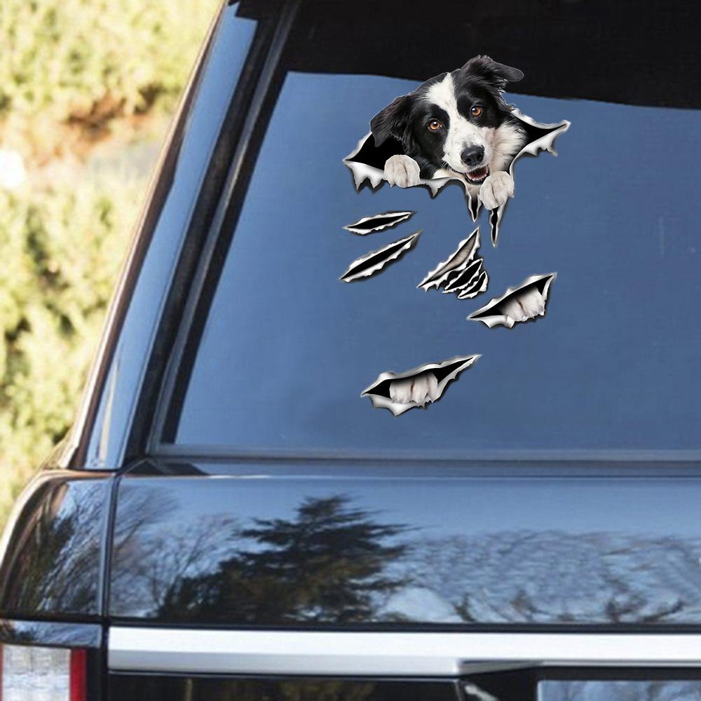 Border Collie Scratch Decal