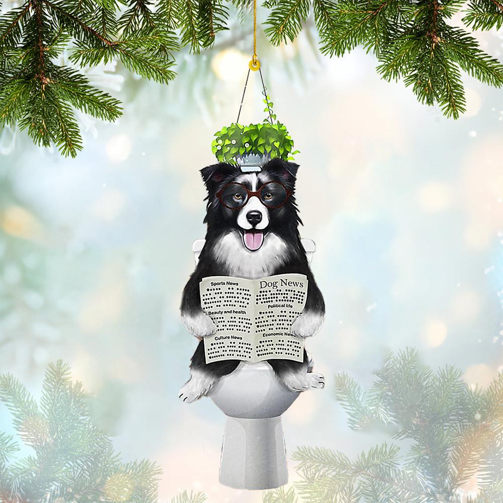 Border Collie Sitting On A Toilet-Two Sides Ornament