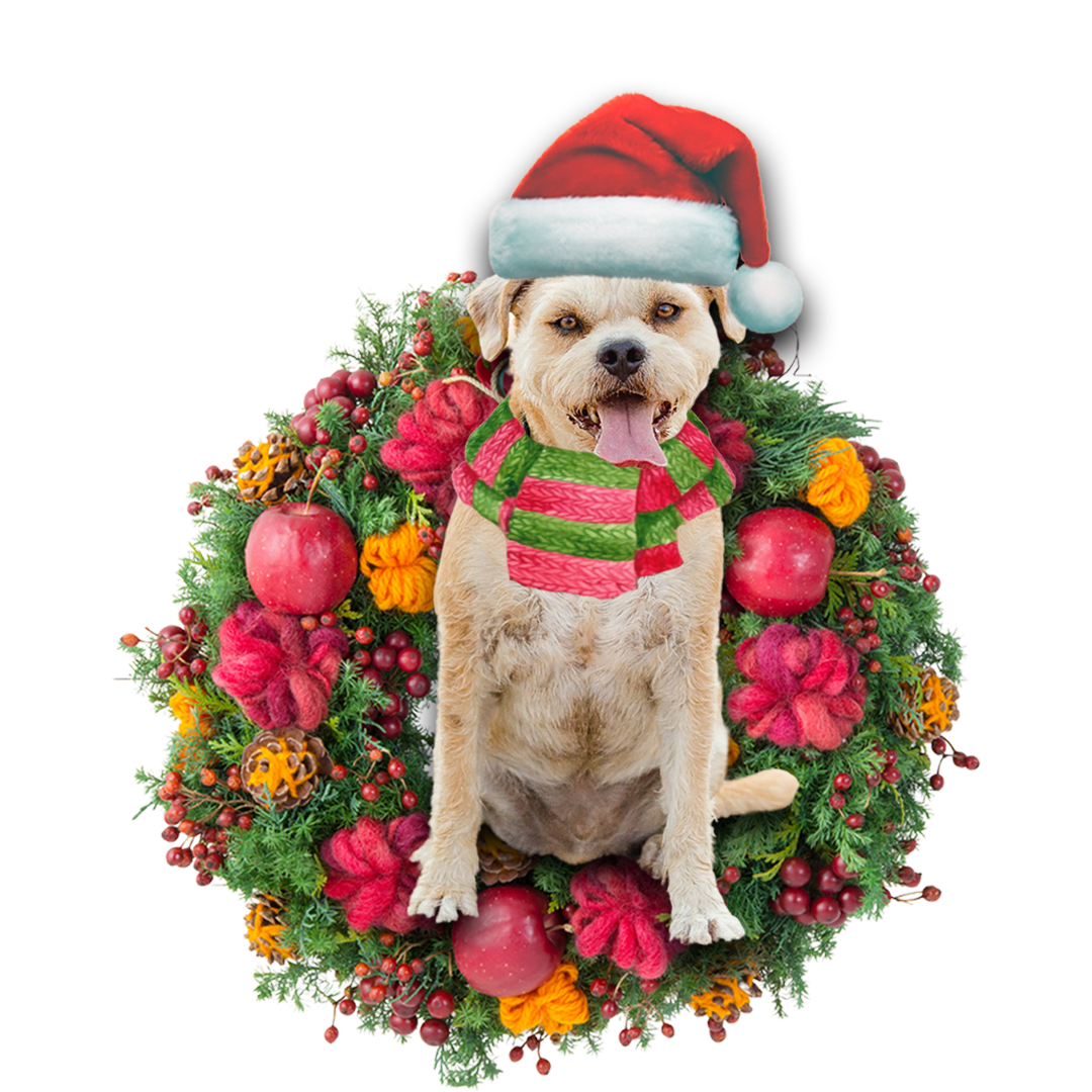 Border Terrier Christmas Ornament