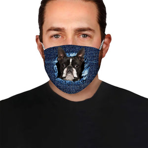 Boston Terrier Jean EZ01 0805 Face Mask