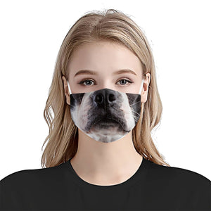 Boston Terrier Face EZ03 1504 Face Mask