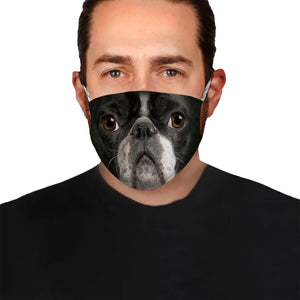Boston Terrier Face EZ06 1504 Face Mask