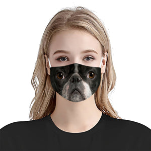 Boston Terrier Face EZ06 1504 Face Mask