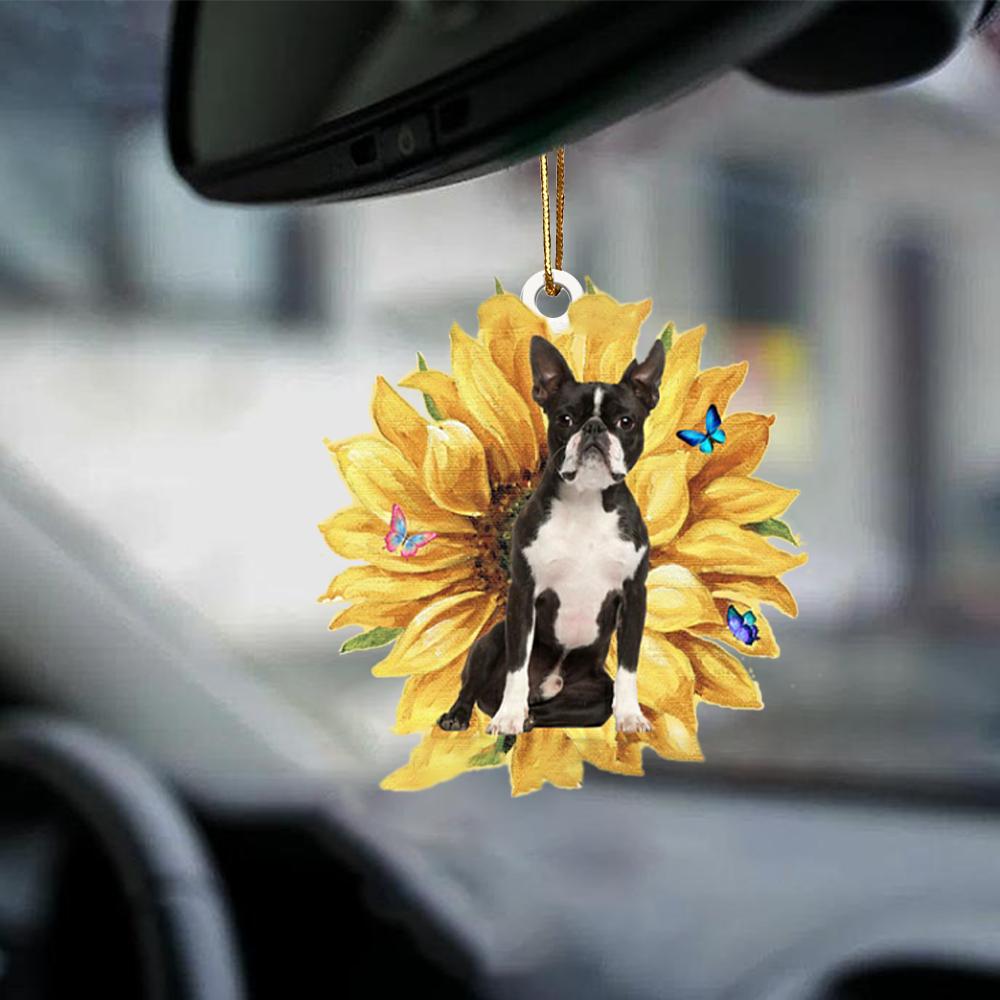 Boston Terrier-The Sunshine-Two Sided Ornament