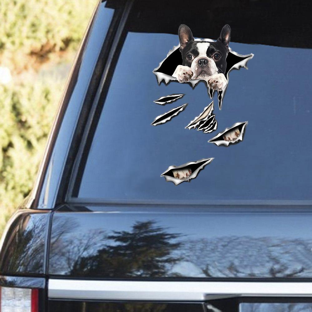 Boston Terrier Scratch Decal