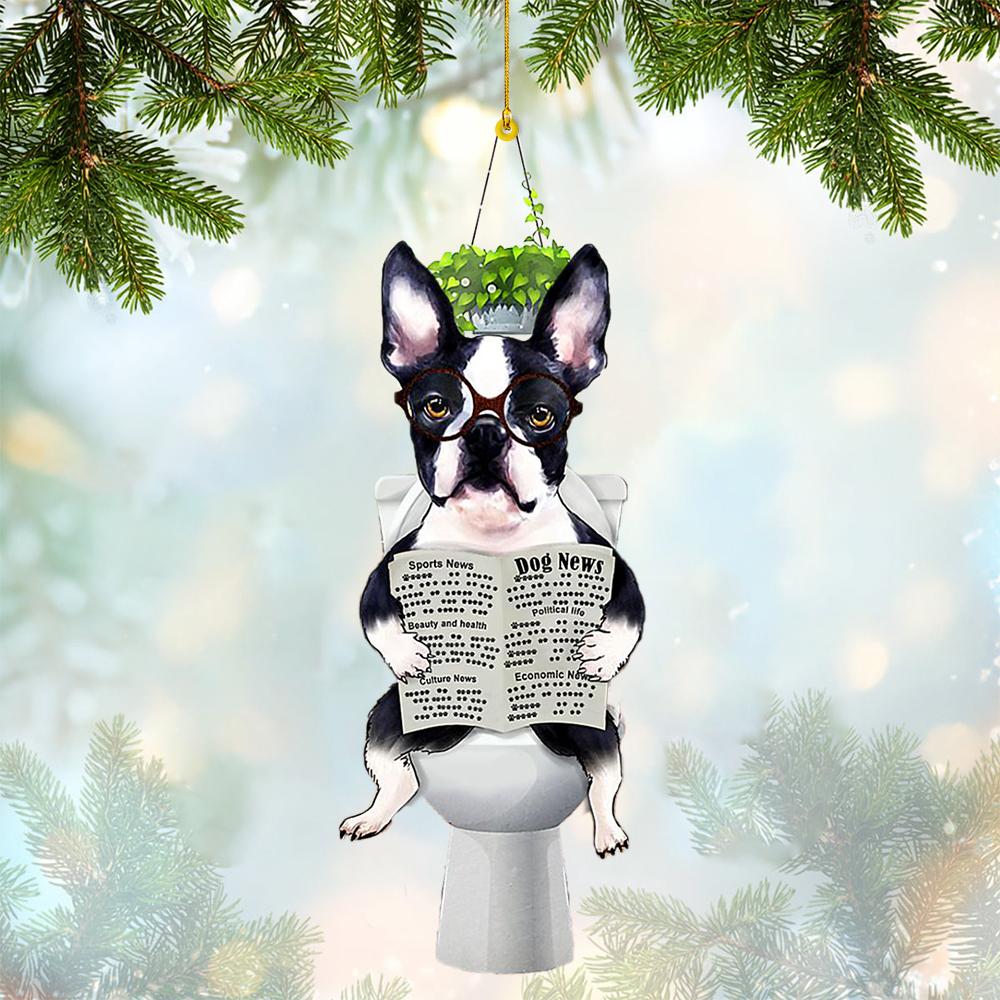 Boston Terrier Sitting On A Toilet-Two Sides Ornament