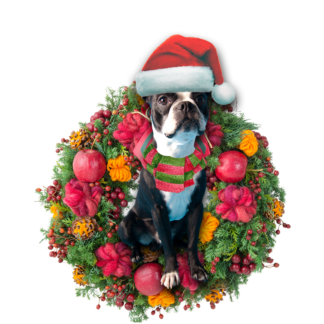 Boston Terrier Christmas Ornament